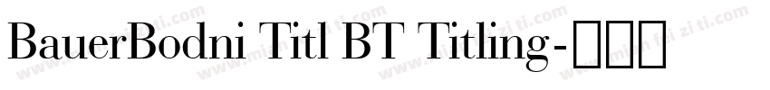 BauerBodni Titl BT Titling字体转换